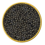 Close-up of a container with American Paddlefish Malossol Black Caviar on a white background