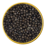 Close-up of a container with American White Sturgeon Malossol Black Caviar on a white background