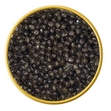 Close-up of a container with American White Sturgeon Malossol Black Caviar on a white background