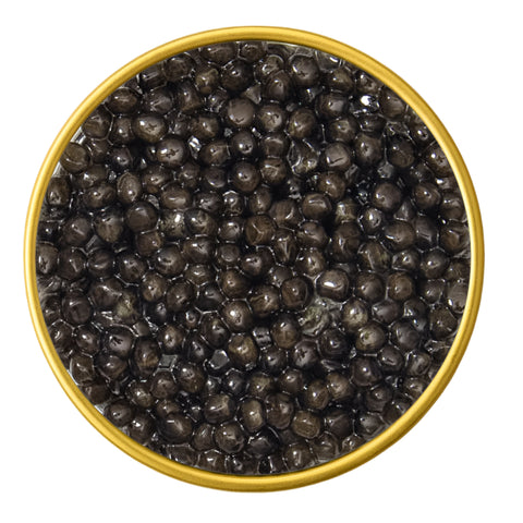 Close-up of a container with American White Sturgeon Malossol Black Caviar on a white background