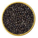 Close-up of a container with Beluga Sturgeon Malossol Black Caviar on a white background