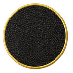 Close-up of a container with Premium Sevruga Sturgeon Malossol Black Caviar on a white background