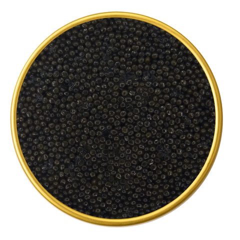 Close-up of a container with Premium Sevruga Sturgeon Malossol Black Caviar on a white background