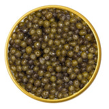 Close-up of a container with River Beluga Gold Malossol Black Caviar on a white background