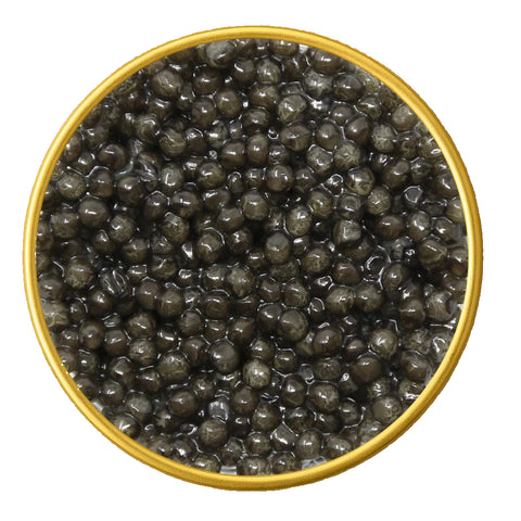 Close-up of a container with Russian Osetra Malossol Black Caviar on a white background