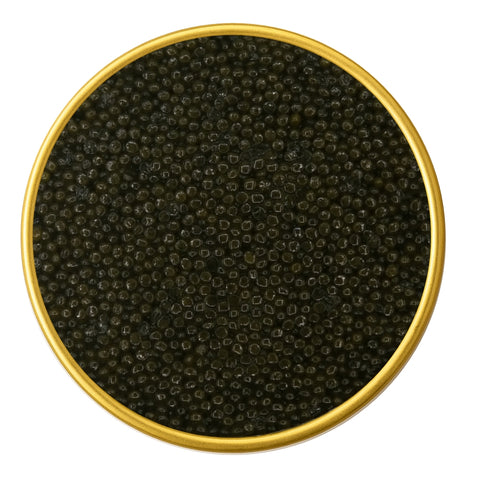 Close-up of a container with Sevruga Sterlet Golden Sturgeon Malossol Black Caviar on a white background