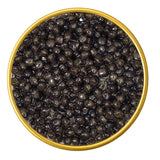 Close-up of a container with Siberian Osetra Malossol Black Caviar on a white background